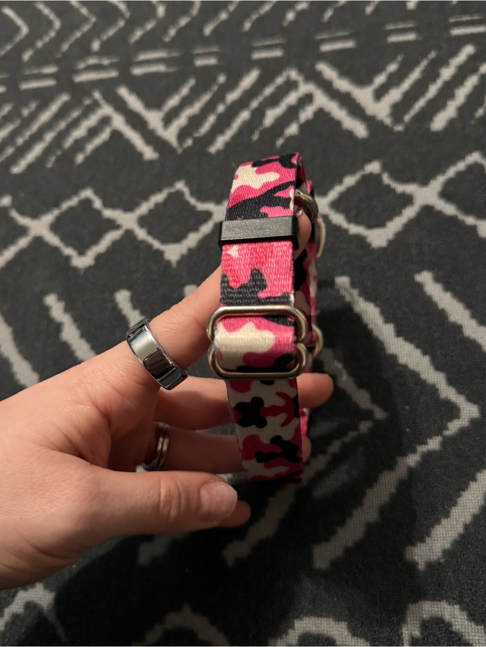 Martingale dog collar